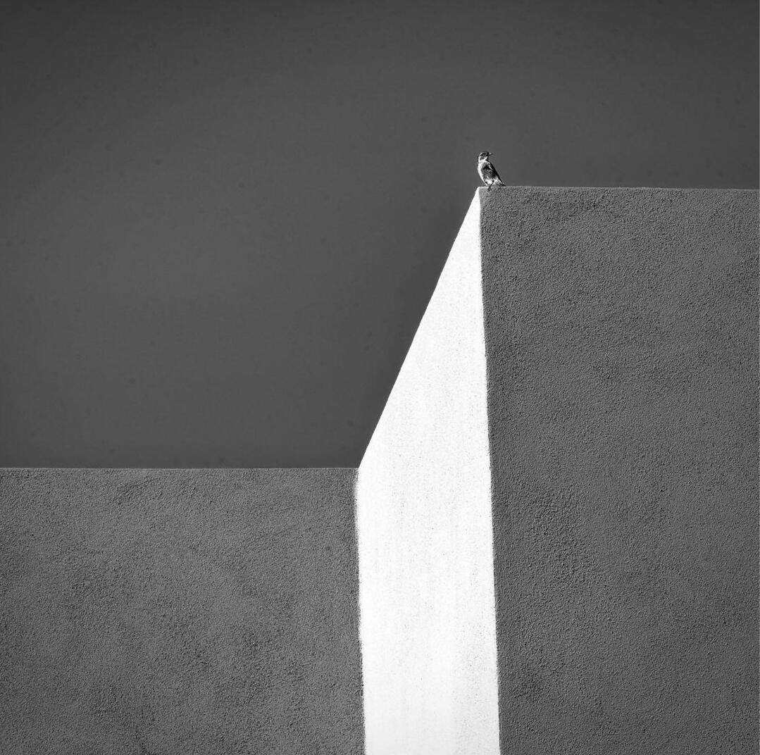 Photograph by Dave H